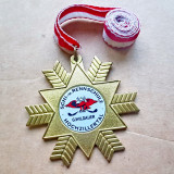 C676-I-Medalie Ski si Maratonisti germani bronz aurit emailat, 6 cm.