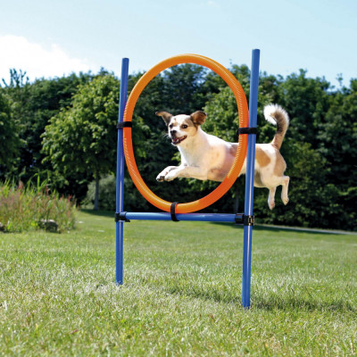 Jucarie Agility Ring 65 cm 3208 foto