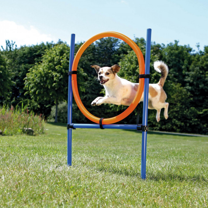 Jucarie Agility Ring 65 cm 3208