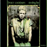 Vinil Bruce Cockburn &ndash; Stealing Fire (VG+)