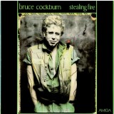 Vinil Bruce Cockburn &ndash; Stealing Fire (VG+)