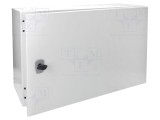 Carcasă montare pe perete EATON ELECTRIC 400mm x 600mm x 250mm CS oţel
