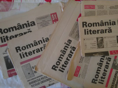 5 Ziare Romania literara foto