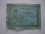 Diploma Asociatia Chinologica Romana, Bihor, 1983