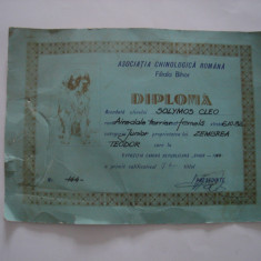 Diploma Asociatia Chinologica Romana, Bihor, 1983