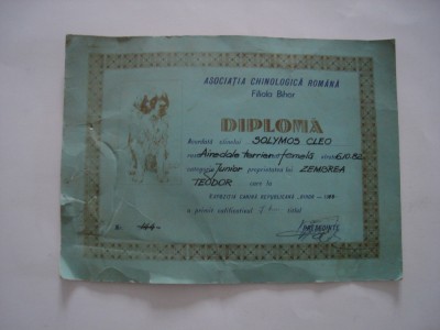 Diploma Asociatia Chinologica Romana, Bihor, 1983 foto