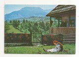 RF55 -Carte Postala- Muntii Rodnei, Vf. Pietrosu, necirculata