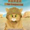 Bubba The Combat Cat