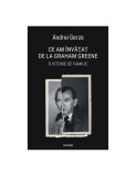 Ce am invatat de la Graham Greene - Andrei Gorzo - Istorie Familie - Carte