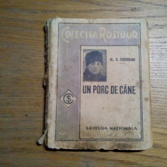 UN PORC DE CANE - Al. O. Teodoreanu - Colectia Rosidor, 160 p.