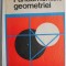 Fundamentele geometriei - N. N. Mihaileanu, M. Neumann