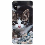 Husa silicon pentru Xiaomi Mi 8 Pro, Animal Cat