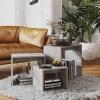 VidaXL Măsuțe suprapuse, 3 buc., gri beton, PAL 808580