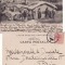 Dobrogea, Constanta -Tatari -Mahala- tipuri-clasica, rara