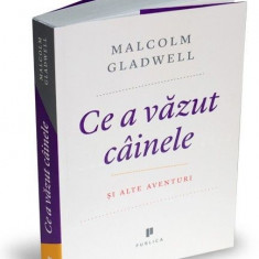 Ce a vazut cainele si alte aventuri - Malcolm Gladwell