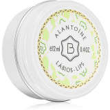 Benam&ocirc;r Alanto&iacute;ne B&aacute;lsamo L&aacute;bios balsam de buze 12 ml