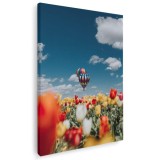 Tablou peisaj lalele si baloane cu aer cald Tablou canvas pe panza CU RAMA 80x120 cm