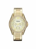 Ceas Fossil Riley ES3203