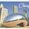 SUA FRIDGE MAGNET CHICAGO City Collectable Holiday Souvenir Cloud Gate Bean