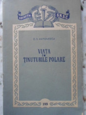 VIATA IN TINUTURILE POLARE - C.S. ANTONESCU foto