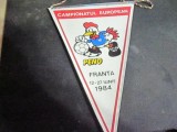 campionatul european franta an 1984