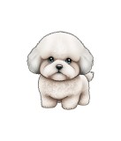 Sticker decorativ Bichon Frise, Alb, 64 cm, 5555ST