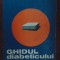 Ghidul diabeticului Vasile Sfarleaza