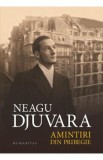 Amintiri din pribegie - Neagu Djuvara