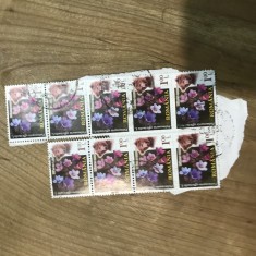 OPI Intreguri Postale romania 9 lei bloc