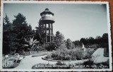 Carte postala, Cluj, Gradina Botanica, 1937