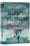 Sfarsitul soaptelor Decembrie 1989, Epica