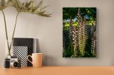 Tablou Canvas, "Splendoarea florilor sub lumina soarelui", Flori, &Icirc;nălțime, Soare, Verdeață, Grădină, Frunziș, Natură, Lumină, Umbre, Vară, 26 x 39 cm