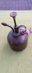Stropitoare mica pentru flori, spray foto