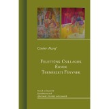 Felett&uuml;nk csillagok &eacute;gnek term&eacute;szeti f&eacute;nynek - Czotter J&oacute;zsef