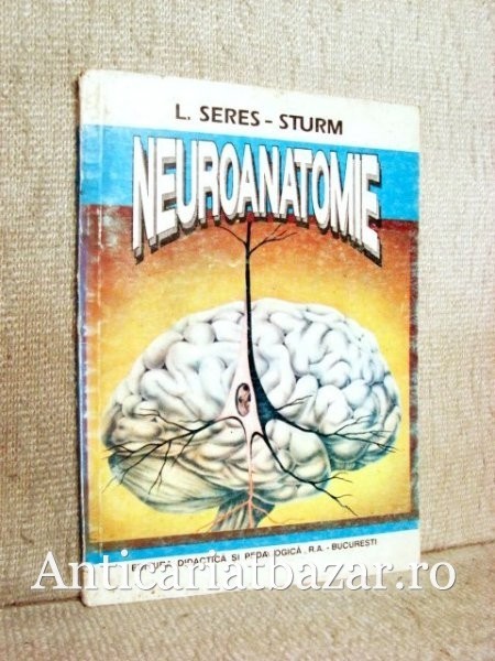 Neuranatomie - L. Seres-Sturm