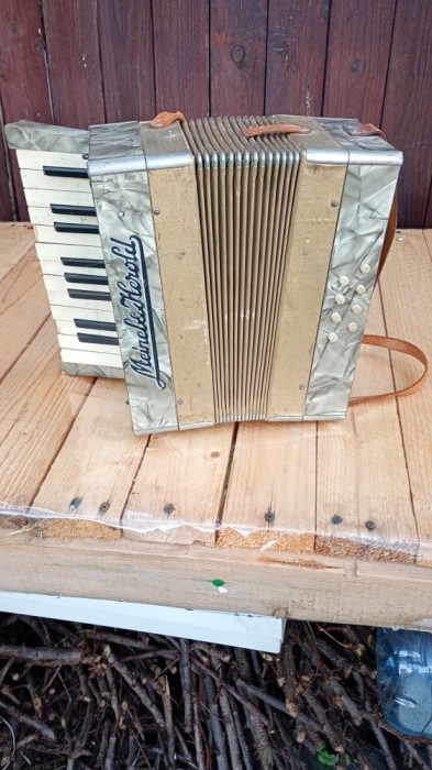 Acordeon Vechi .