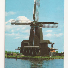 ND1 - Carte Postala - OLANDA - Zaandam ( Zaanse Schans ) , circulata 1996