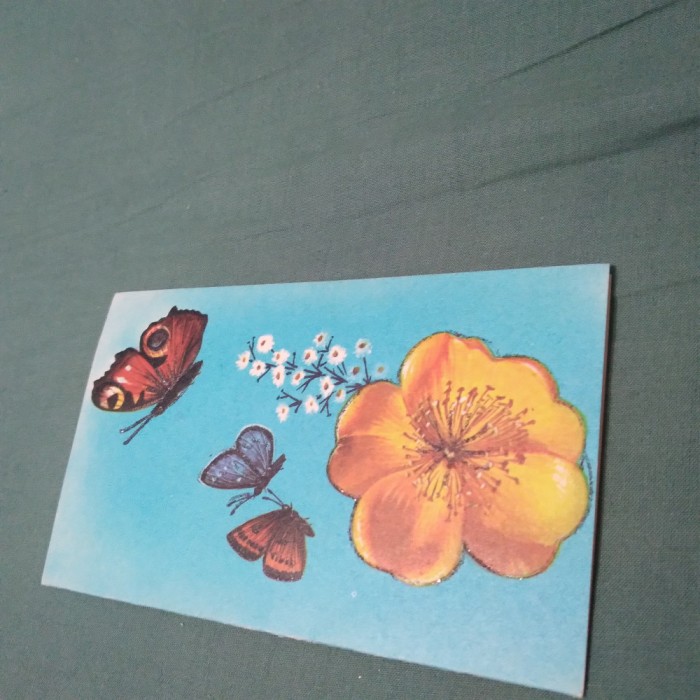 CARTE POSTALA FELICITARE CIRCULATA