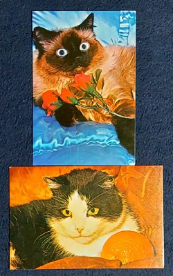 Carti postale pisici foto