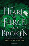 A Heart So Fierce and Broken | Brigid Kemmerer, 2020