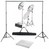 VidaXL Kit studio foto cu set de lumini și fundal 3055122