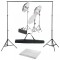vidaXL Kit studio foto cu set de lumini și fundal 3055122