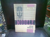 MODELE DIN FILEU , ELISABETA IOSIVONI