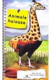 Animale haioase