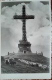 Carte postala, Poiana Tapului, 1939