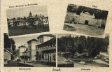CP1497N Borsz&eacute;k, carte poștală, Borsec