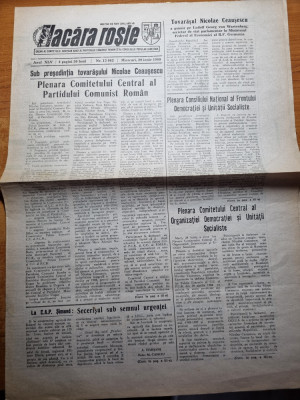 flacara rosie 29 iunie 1988 - articol jud. arad,barzava foto