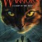 Warriors: The Broken Code #6: A Light in the Mist