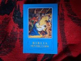 d1b Biblia pentru copii (noua , cartonata, color, pagini legate, lucrata impecabil)
