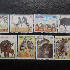 Serie timbre fauna animale zebre nestampilate Ruanda timbre filatelice postale